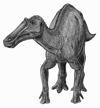 An artist's impression of Prosaurolophus