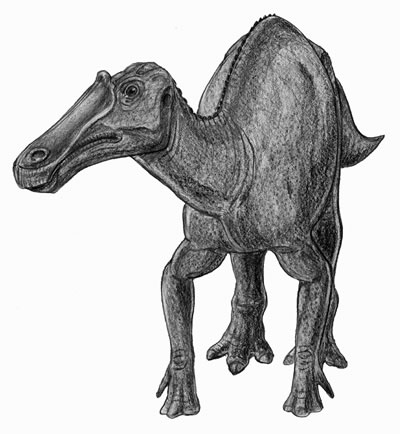 Prosaurolophus