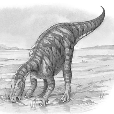 An artist's impression of Protohadros