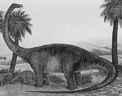 An artist's impression of Quaesitosaurus