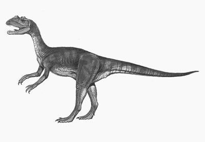 An artist's impression of Sarcosaurus