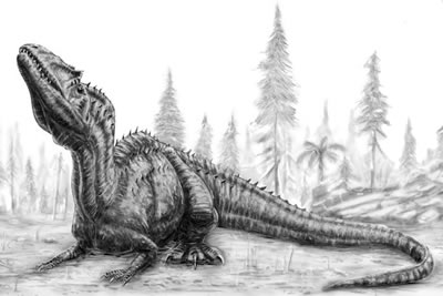 An artist's impression of Saurophaganax