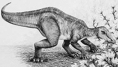 An artist's impression of Secernosaurus