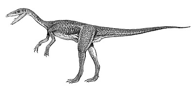 An artist's impression of Segisaurus