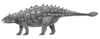 An artist's impression of Shamosaurus