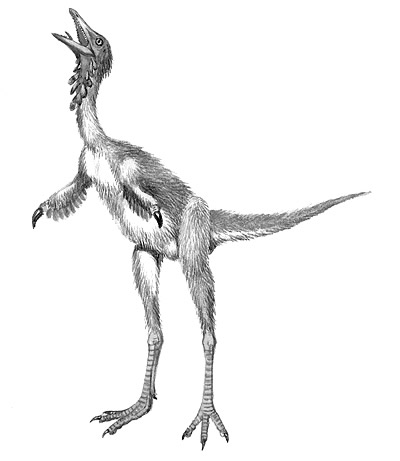 An artist's impression of Shuvuuia