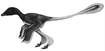 An artist's impression of Sinornithosaurus