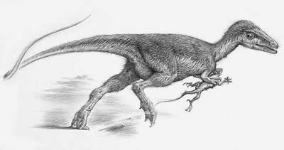 An artist's impression of Sinosauropteryx