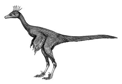 An artist's impression of Sinovenator