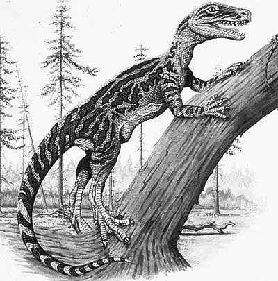 An artist's impression of Staurikosaurus