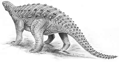 An artist's impression of Struthiosaurus