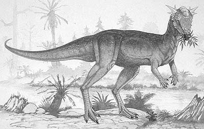 An artist's impression of Stygimoloch