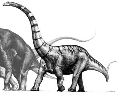 An artist's impression of Supersaurus