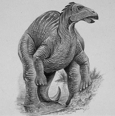 An artist's impression of Telmatosaurus