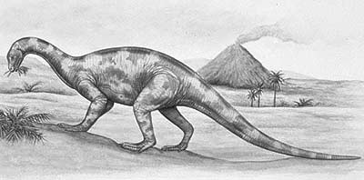 An artist's impression of Thecodontosaurus