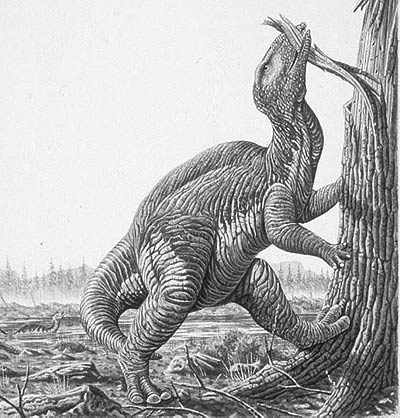 An artist's impression of Tsintaosaurus