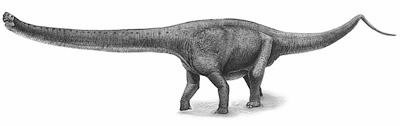 An artist's impression of Yuanmousaurus