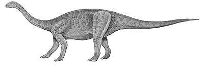 An artist's impression of Yunnanosaurus