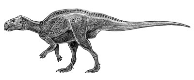 An artist's impression of Zalmoxes