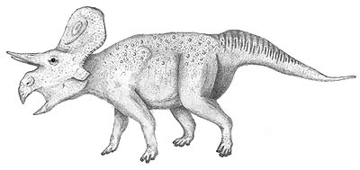An artist's impression of Zuniceratops
