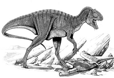 An artist's impression of Acrocanthosaurus