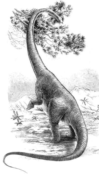 An artist's impression of Alamosaurus