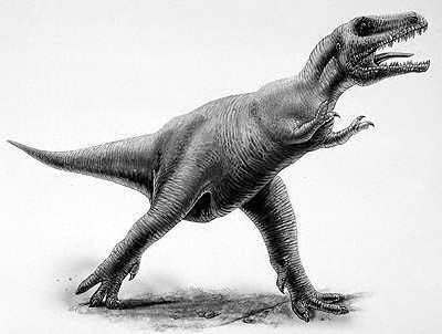 An artist's impression of Albertosaurus