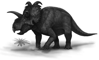 An artist's impression of Albertaceratops