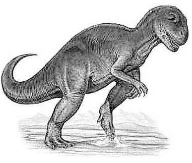 An artist's impression of Allosaurus