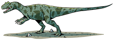 An artist's impression of Allosaurus