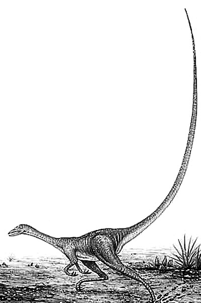 An artist's impression of Alvarezsaurus