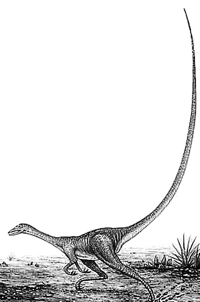 Alvarezsaurus