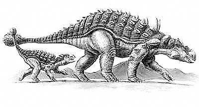 An artist's impression of Ankylosaurus