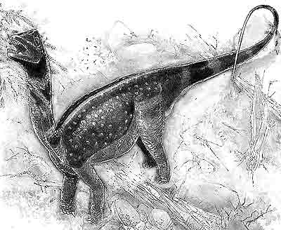 An artist's impression of Antarctosaurus