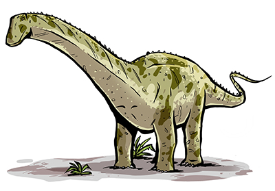 An artist's impression of Apatosaurus