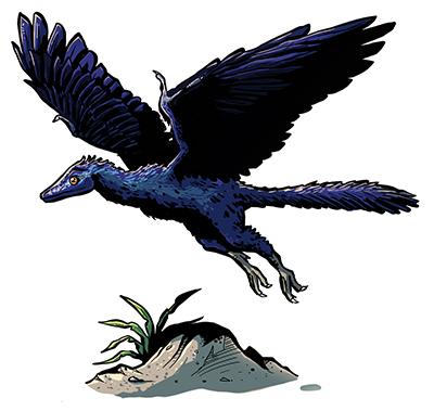 An artist's impression of Archaeopteryx