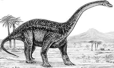 An artist's impression of Barapasaurus