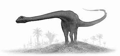 An artist's impression of Barosaurus