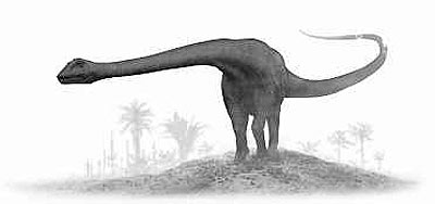 Barosaurus