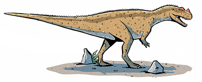 An artist's impression of Ceratosaurus