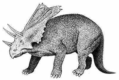 An artist's impression of Chasmosaurus