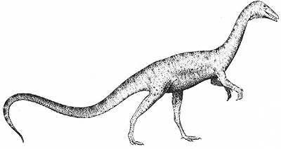 An artist's impression of Coelophysis
