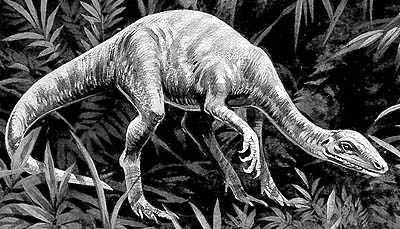 An artist's impression of Coelurus