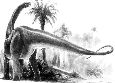 An artist's impression of Datousaurus