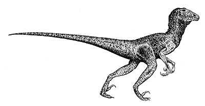 An artist's impression of Deinonychus