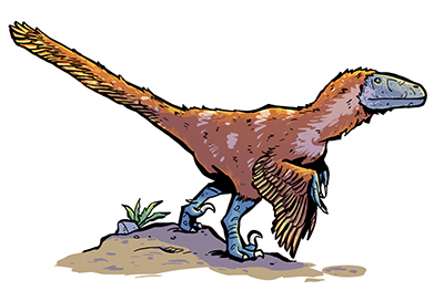 An artist's impression of Deinonychus