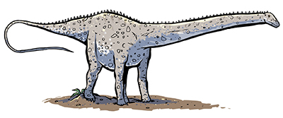 An artist's impression of Diplodocus