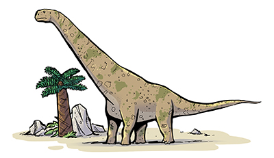 An artist's impression of Dreadnoughtus