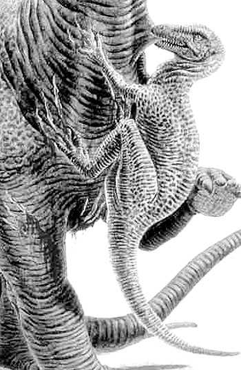 An artist's impression of Dromaeosaurus