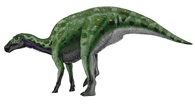 Edmontosaurus milieu